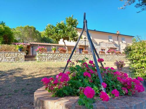 Monterotondo Marittimo Apartment | Agriturismo Mezzo Poggio Suvereto