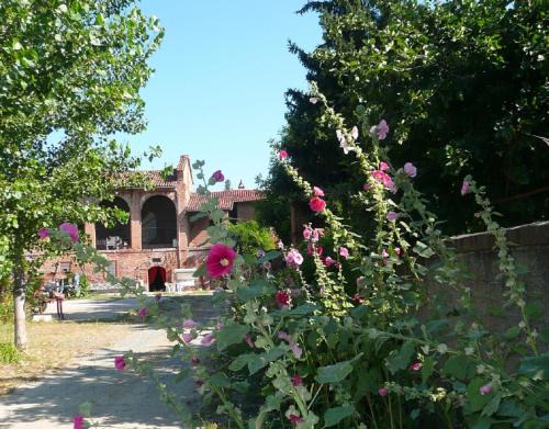 Quattordio House | Agriturismo Olivazzi