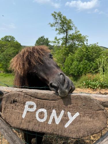 Santa Fiora House | Agriturismo Podere Asche