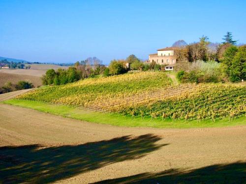 Montalcino Apartment | Agriturismo Poggiarellino - Montalcino