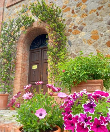 Allerona House | Agriturismo Riparossa