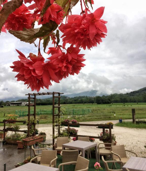 Buia House | Agriturismo San Floreano