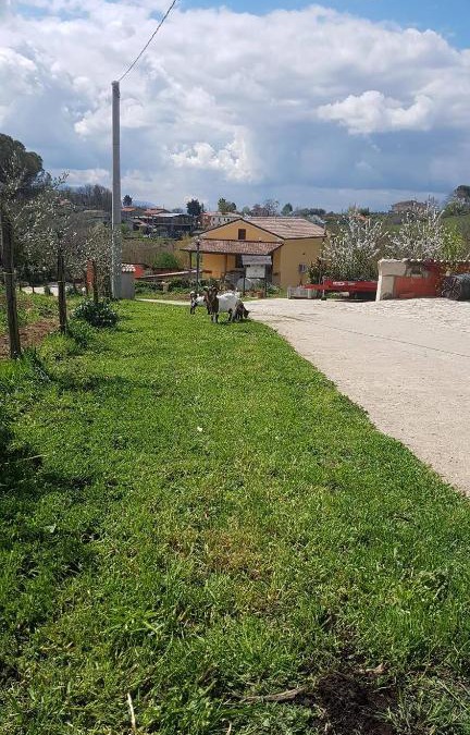 Ariano Irpino Bed & Breakfast | Agriturismo San Tommaso