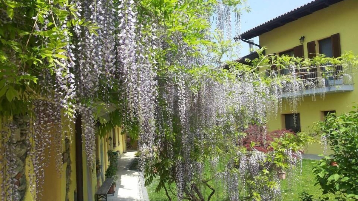 Roppolo Other | Agriturismo Tra Serra e Lago