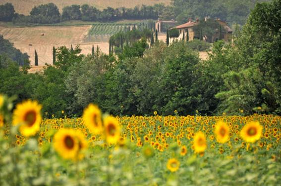 Montecatini Val di Cecina House | Agriturismo Val di Sterza