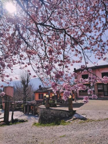 Bettola House | Agriturismo Villa Enrichetta