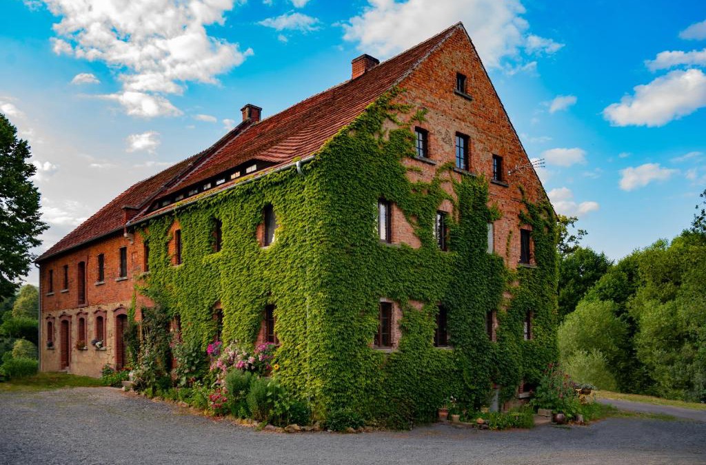 Kondratow House | Agrohippika