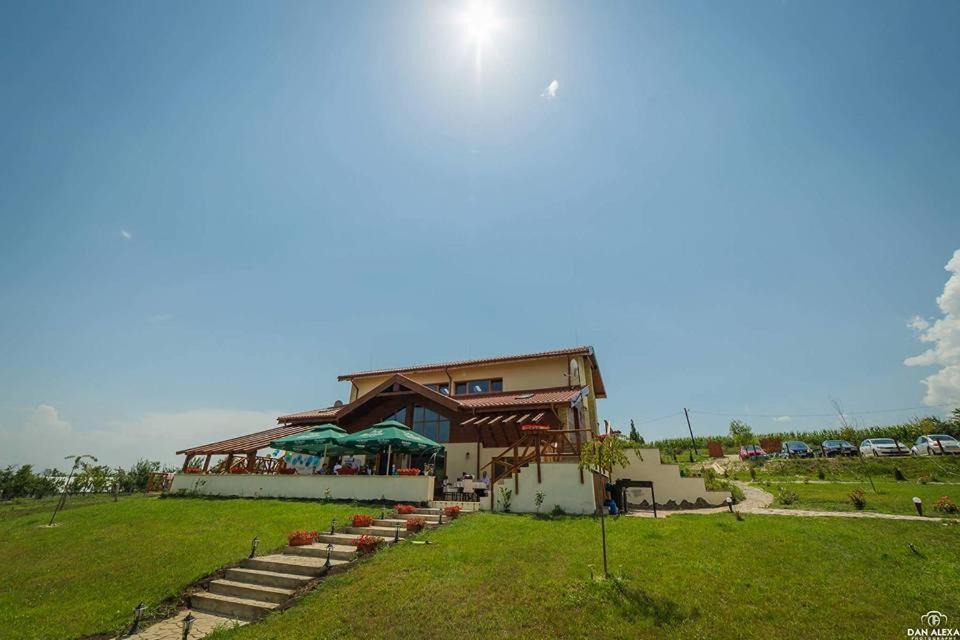 Galda de Jos House | Agropensiunea Cosette
