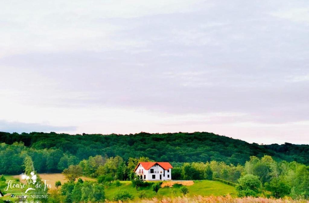 Copalnic-Manastur House | Agropensiunea Floare de Tei