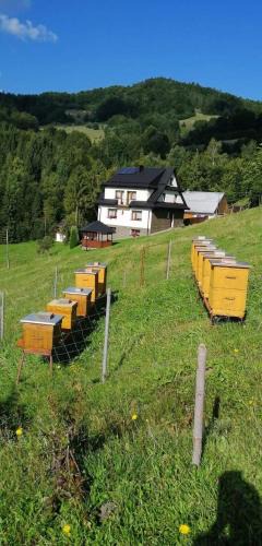 Ochotnica Dolna House | Agroturystyka Anna
