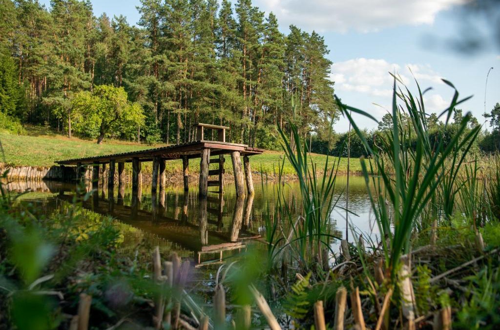 Jeleniewo Apartment | Agroturystyka Leśna Dolina