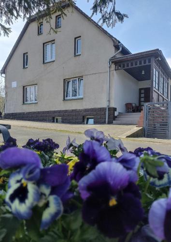 Wlen House | Agroturystyka Nad Bobrem