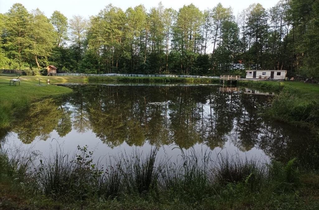 gmina Bełzec House | Agroturystyka nad stawem