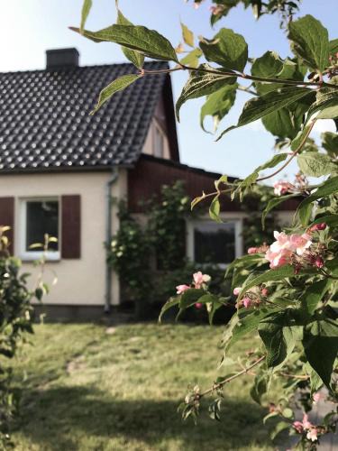 gmina Cieszkow House | Agroturystyka pod jeleniem