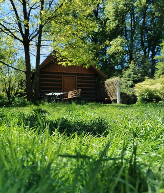 Sanok Bed & Breakfast | Agroturystyka w ogrodach