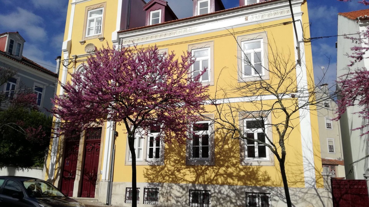 Se Nova Bed & Breakfast | Ah33 - Superior Double Studio - University