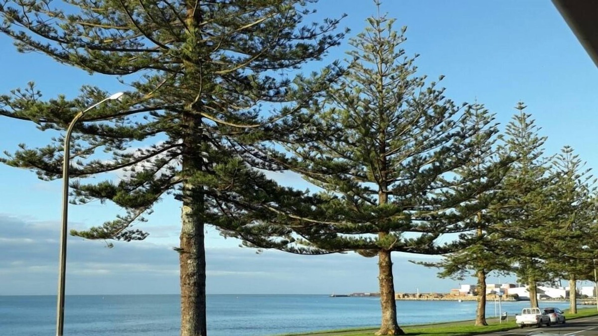 Ahuriri House | Ahuriri Beach Front with stunning sea views