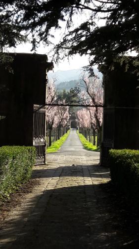 Pontremoli Bed & Breakfast | Ai Chiosi affittacamere
