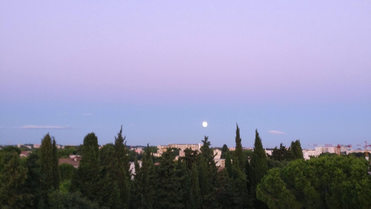 Les Beaux-Arts Apartment | Aiguelongue, head in the stars