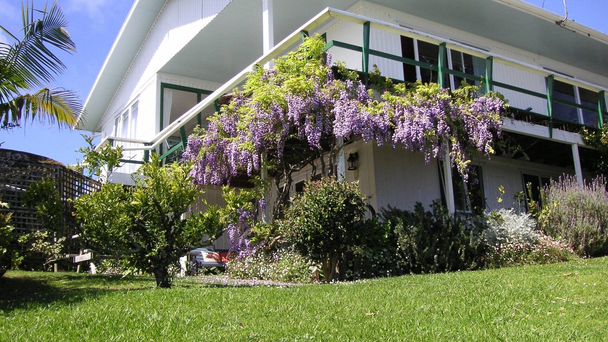 Okiato Apartment | Aimeo Iti Studio in subtropical garden, very quiet and close to beach and town