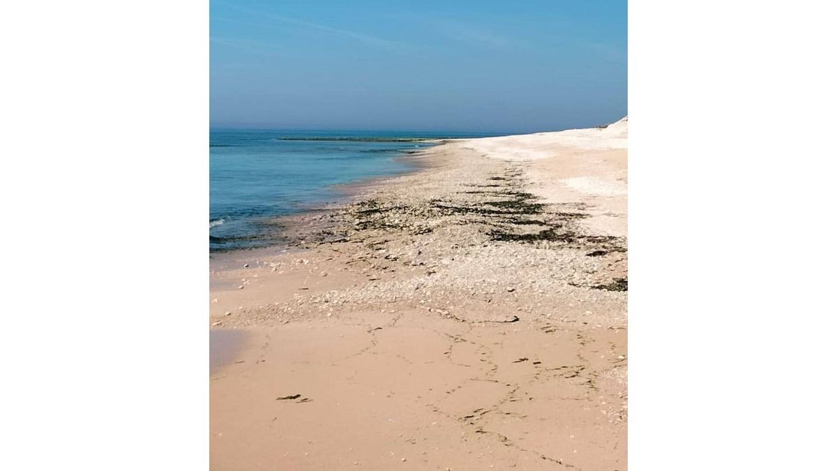 Champagne-les-Marais House | air-conditioned studio near La Rochelle and the Vendée beaches!