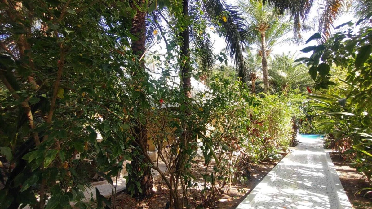 Cap Skirring House | Ak-reski, le logement 4personnes-piscine et vue sur les bolongs