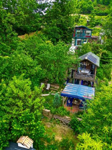 Sapanca Ski Chalet | Aknadağevi sapanca