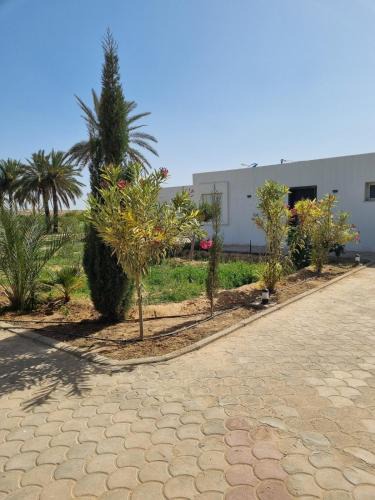 Gabes House | Al Boustane - Sous les Palmiers