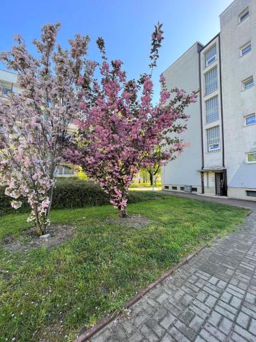 West Pomeranian Voivodeship Apartment | Al-dom Apartamenty Apartament II Mare 500m do morza
