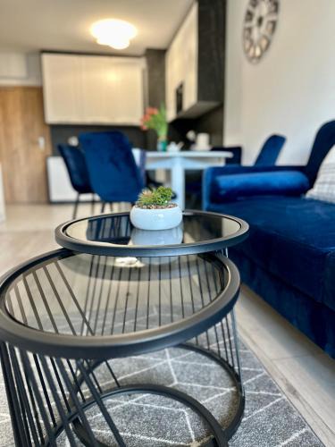 Dzielnica Uzdrowiskowa Apartment | Al-Dom Apartamenty Kasprowicza 20C z basenem oraz siłownią