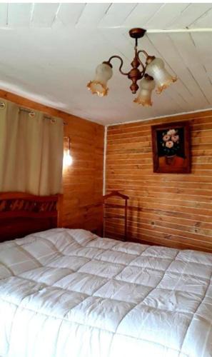 Salto del Laja Apartment | ALASA Hospedaje
