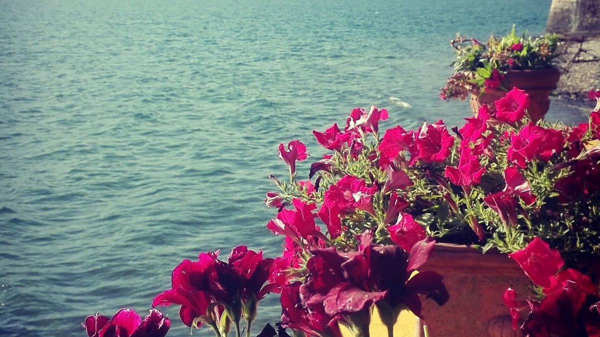 Griante Hotel | Alberghetto La Marianna