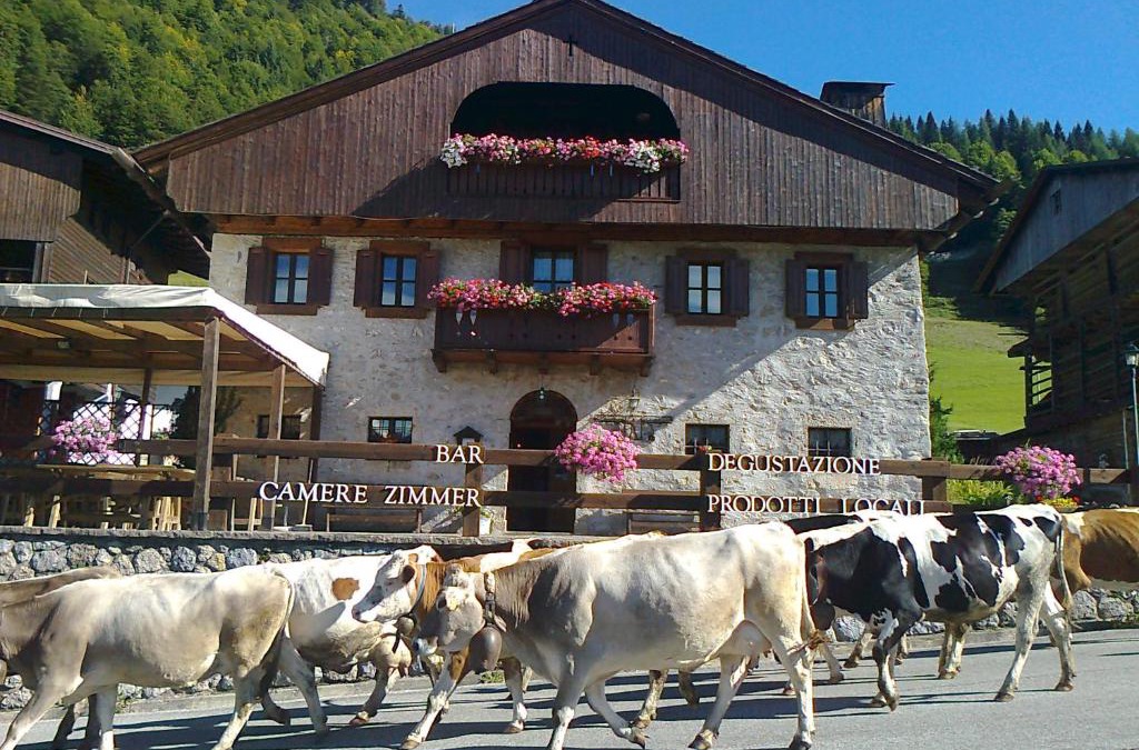 Lateis Bed & Breakfast | Albergo Pa' Krhaizar