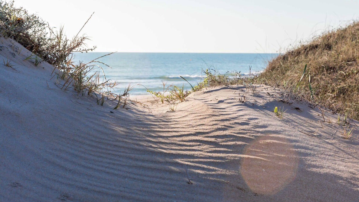 Pobles del Sud Apartment | Albufera Dreams Nature Suites