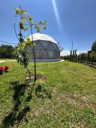 Hidalgo Other | Aldea Hualtepec Glamping