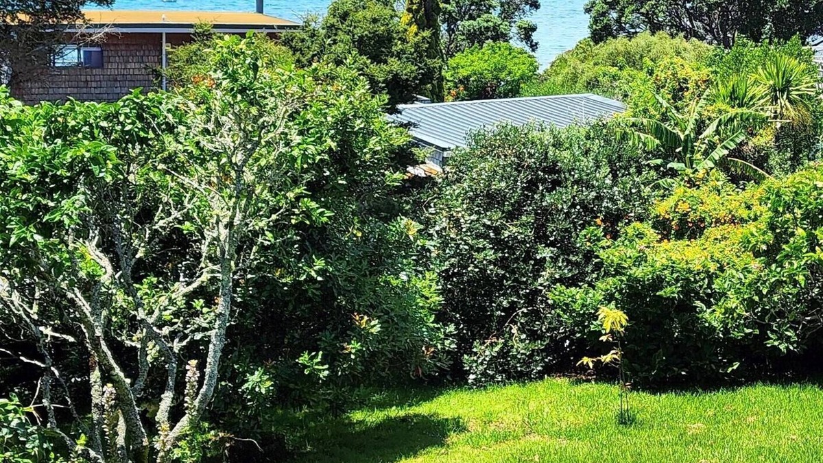 Algies Bay House | Algies Escape