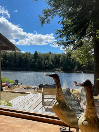 Algonquin Highlands House | Algonquin Waterfront Getaway With SW Sunsets