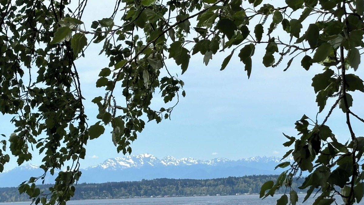 West Seattle Cottage | Alki Beach modern and cozy 3 bdrm home near dining, Lumen and T-Mobile park.