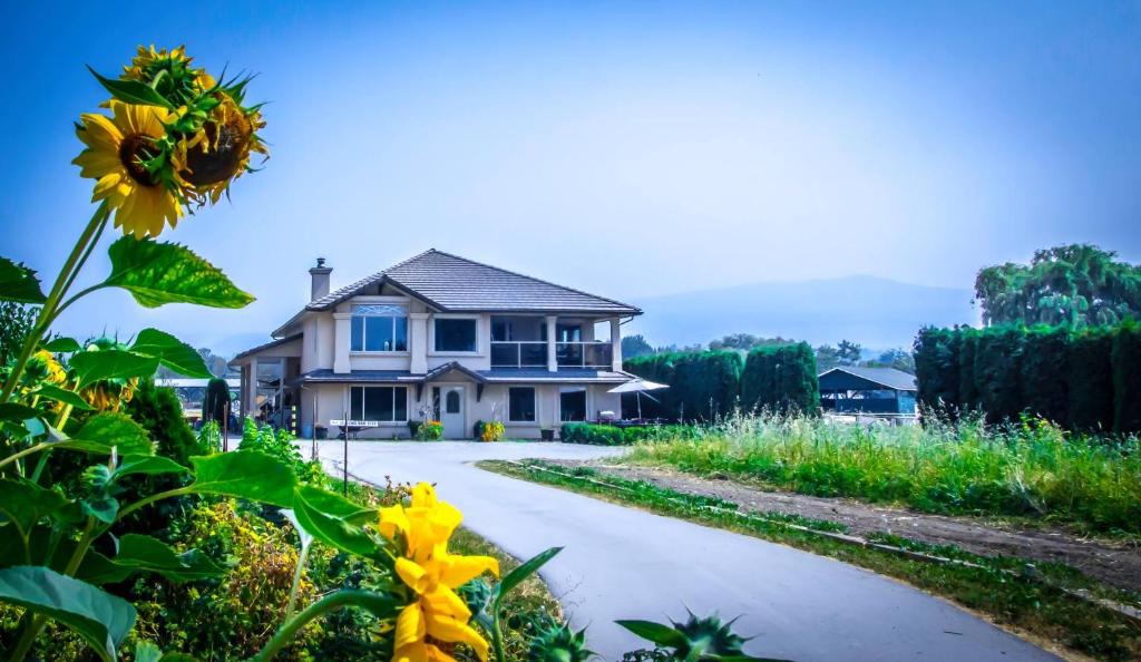 South Pandosy Bed & Breakfast | All Seasons Bed & Breakfast