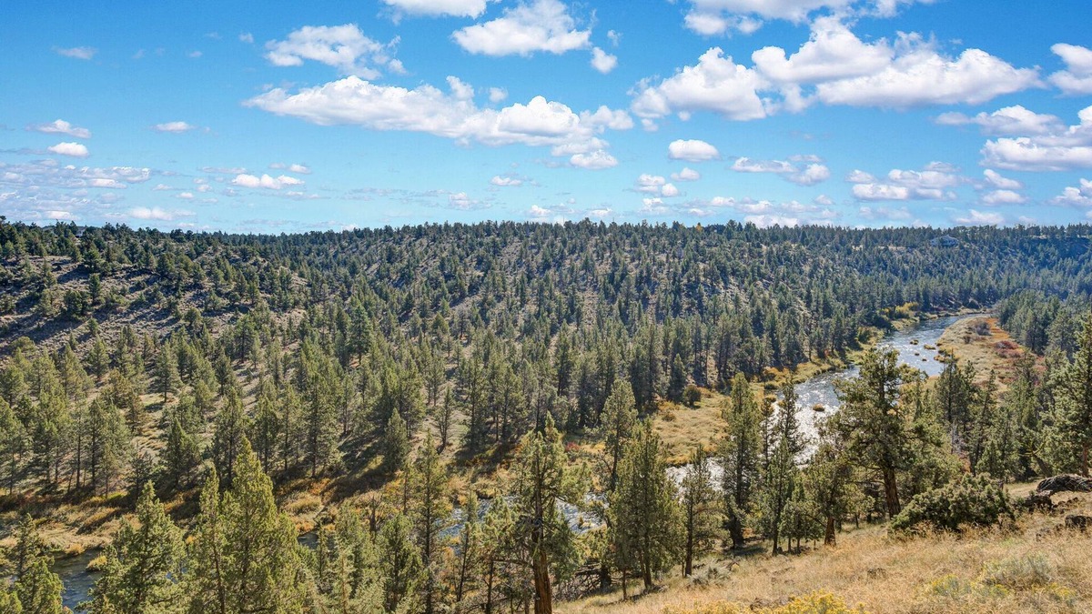 Redmond Condo | All the River Views- Best Deschutes views Dogs Welcome!