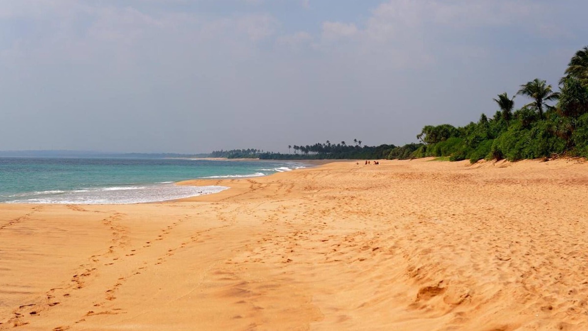 Rekawa Bed & Breakfast | All view resort
