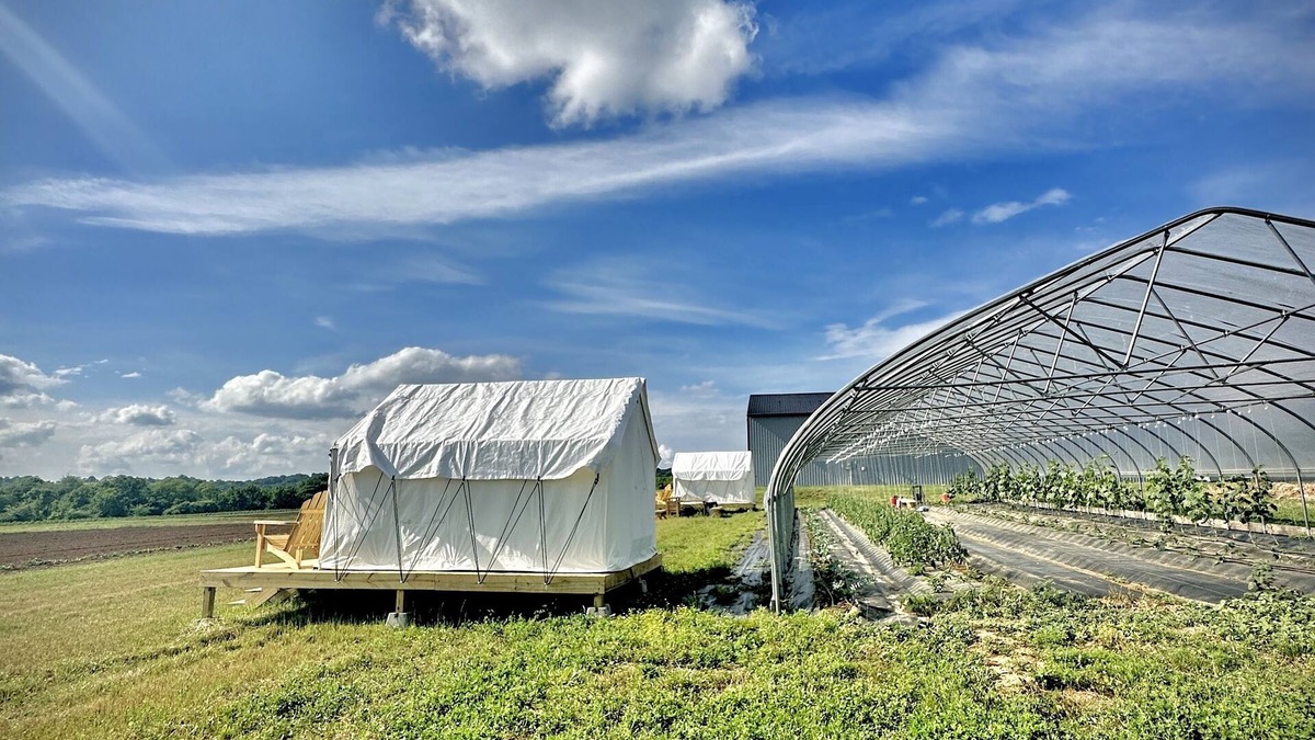 Spring Hill RV Rental | Allenbrooke Farms Glamping Tent 1