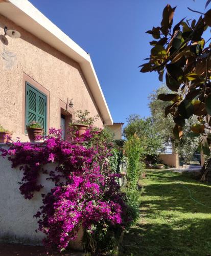 Frasso Sabino House | Alloggio turistico Monte Santa Maria