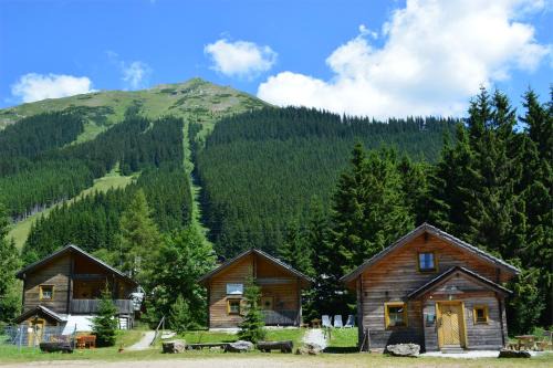 Praebichl Ski Chalet | Almdorf Präbichl