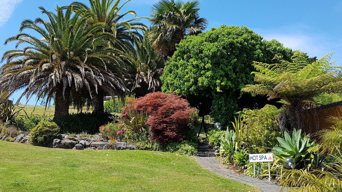 Paihia Hotel | Aloha Seaview Resort Motel