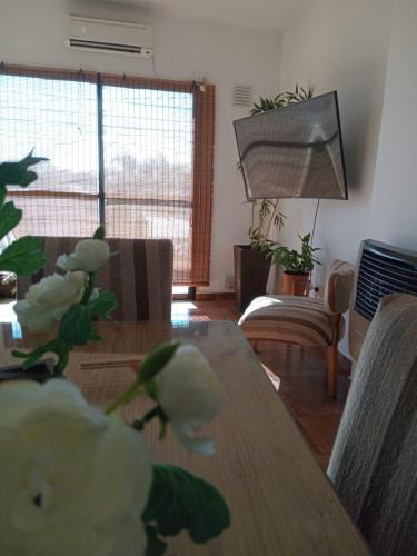 Concordia Apartment | Alojamiento Las Camelias