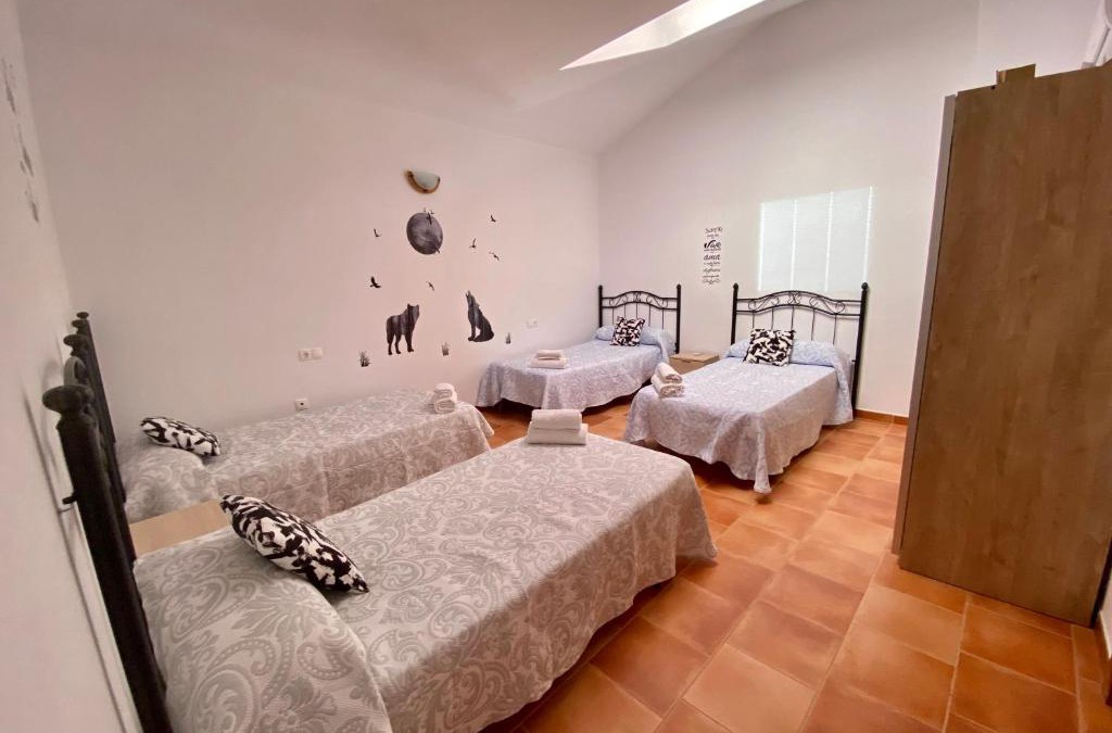 Arroyo Frio Apartment | Alojamiento Los Tejos - Arroyo Frío