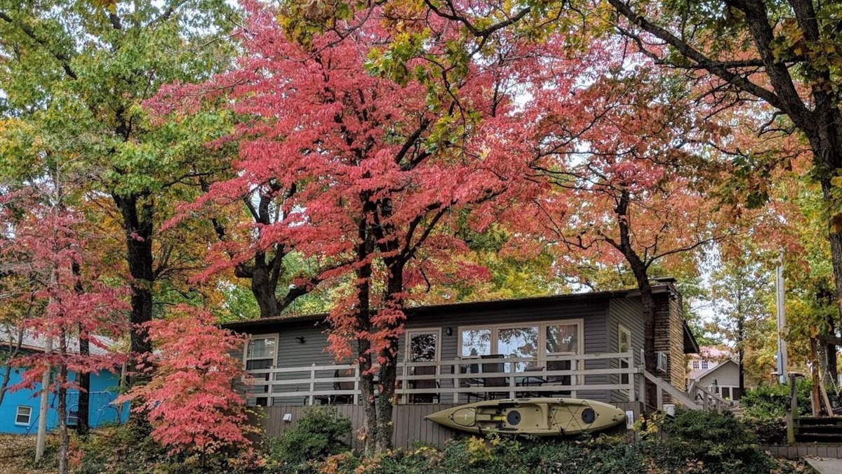 Eucha Cottage | ALOT OF GREAT DATES AVAILABLE LAKEFRONT NEVER A CLEANING FEE