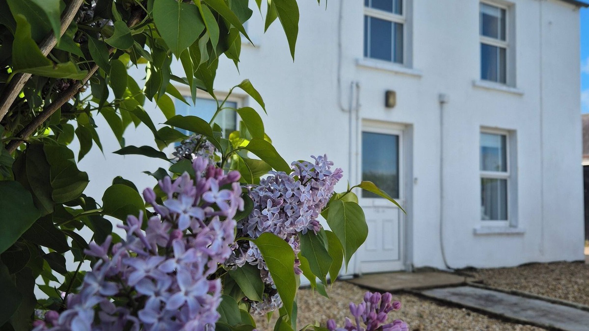 Dromore House | Alpaca Farmhouse with all weather private hot tub and alpaca experience included