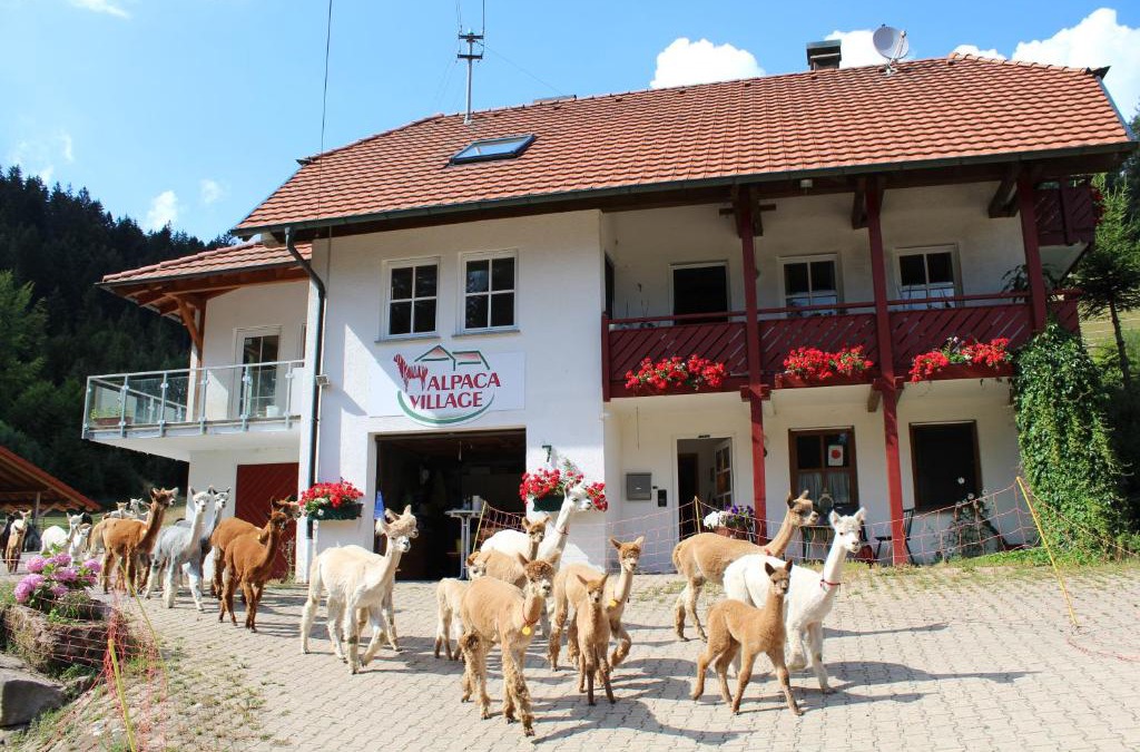 Lauterbach Apartment | Alpaca-Village